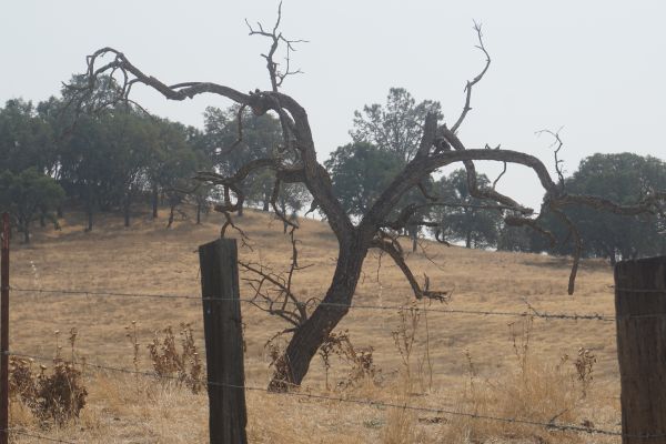 [Picture of Off Turner Road]